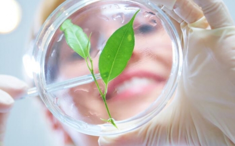 千億國貨頂流貝泰妮到底怎么了？