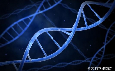 DLL3會是下一個ADC的明星靶點？多賽道進擊小細胞肺癌