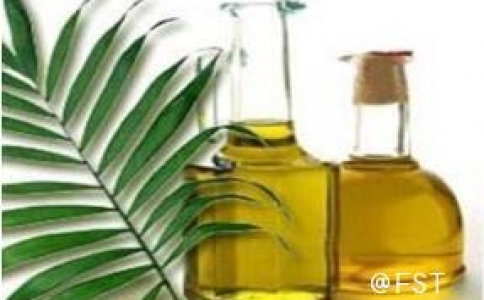 未來前景如何？巧克力、冰淇淋、口紅…棕櫚油無處不在
